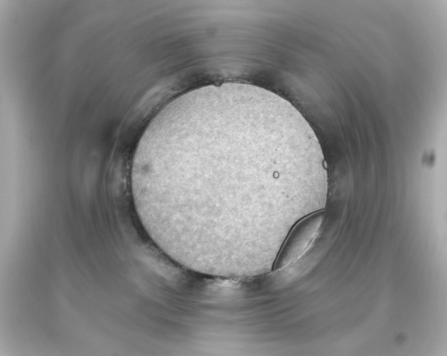 X0000093560140200711051045