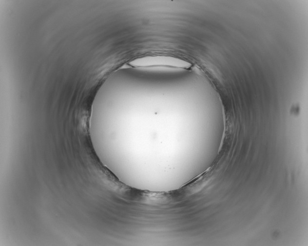 X0000093560141200711051045