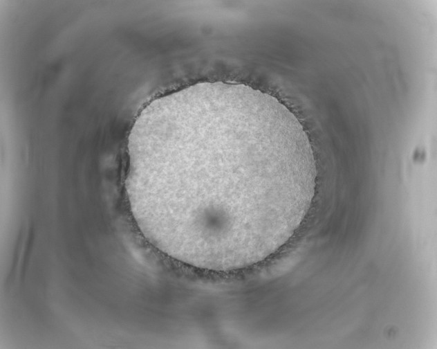 X0000093560144200711051045