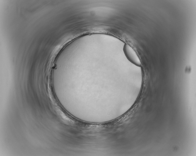 X0000093560145200711051044