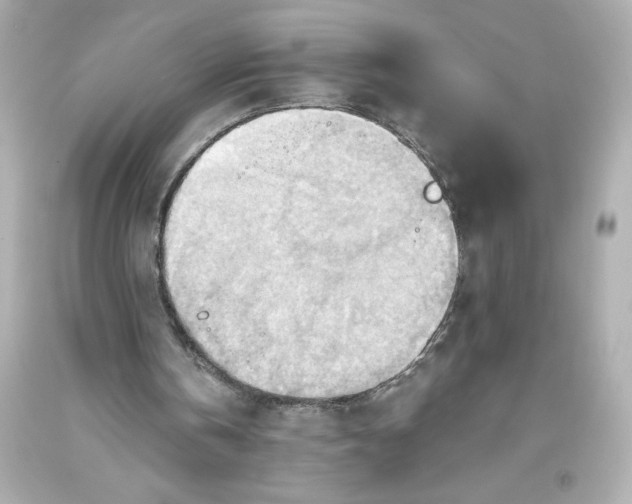 X0000093560146200711051044