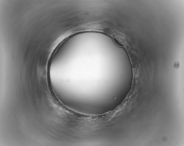 X0000093560148200711051044