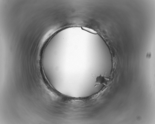 X0000093560150200711051044