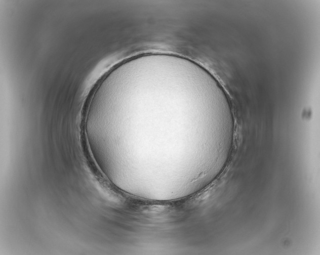 X0000093560151200711051044