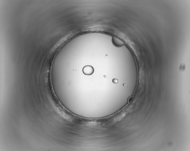 X0000093560153200711051044