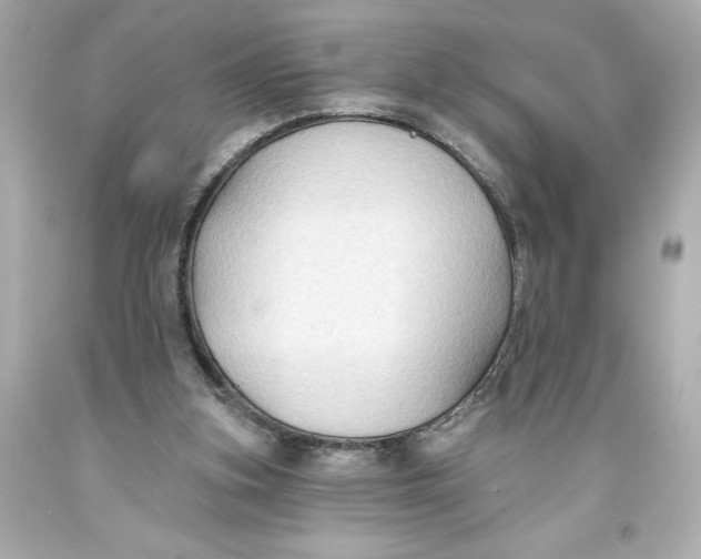 X0000093560155200711051044