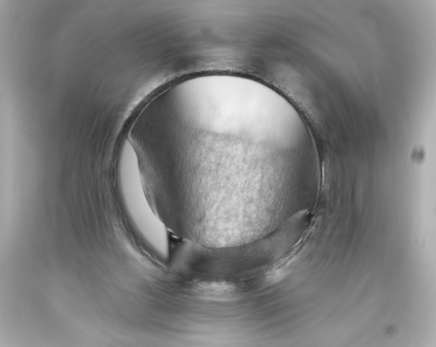 X0000093560156200711051044