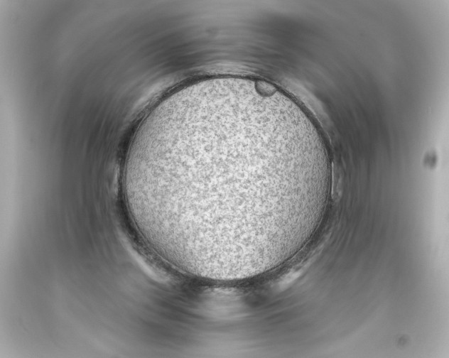 X0000093560157200711051044