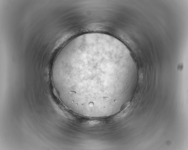 X0000093560158200711051044