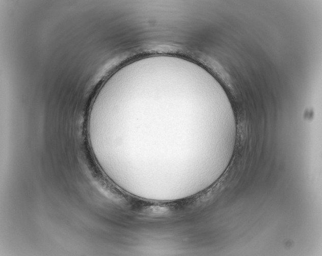 X0000093560159200711051044