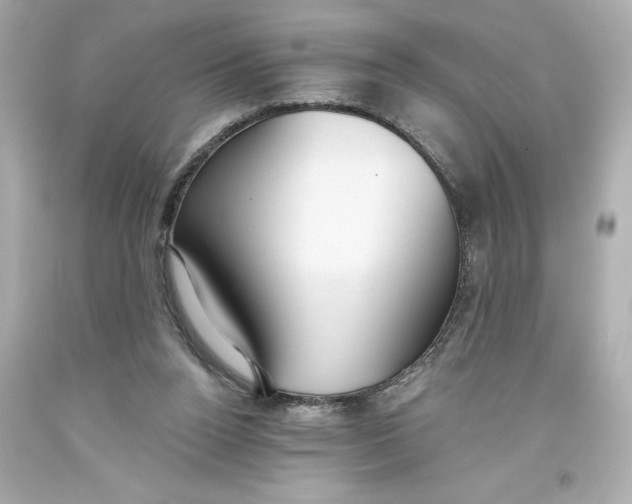 X0000093560160200711051044