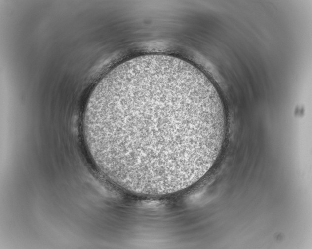 X0000093560161200711051044