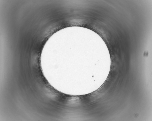 X0000093560162200711051044