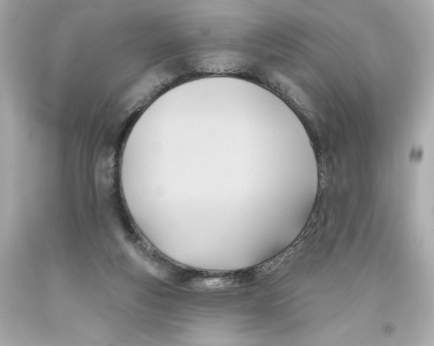 X0000093560163200711051044