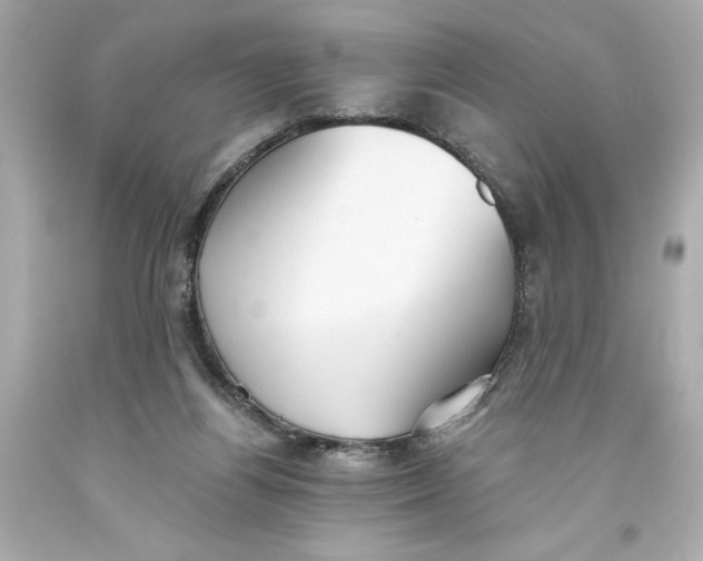 X0000093560164200711051044