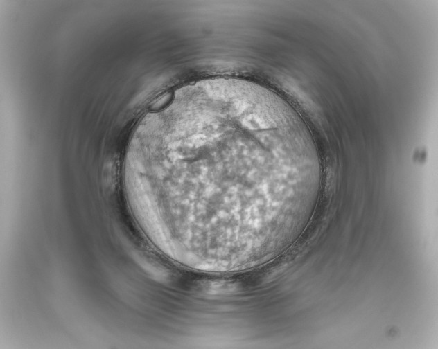 X0000093560165200711051044