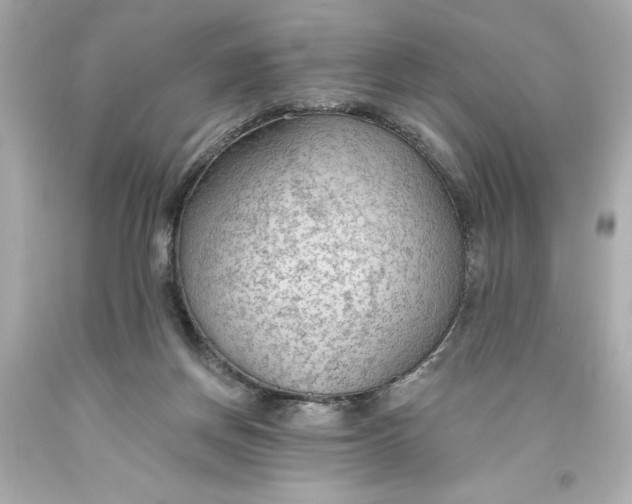 X0000093560166200711051044