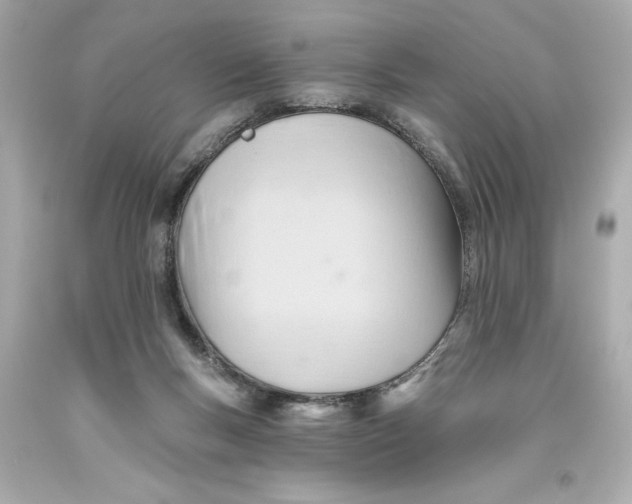 X0000093560167200711051044