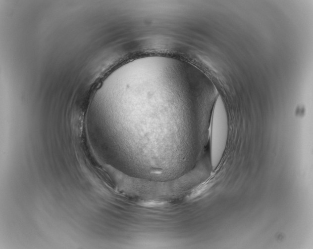 X0000093560168200711051044