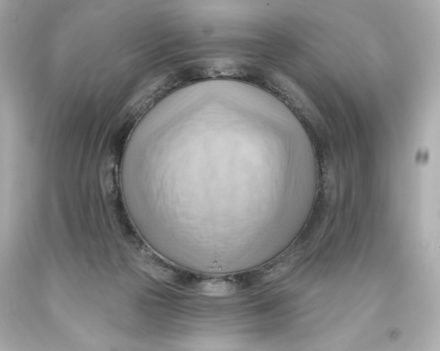 X0000093560169200711051044