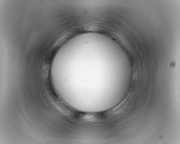 X0000093560171200711051044