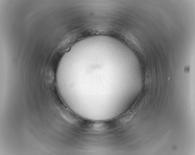 X0000093560173200711051044