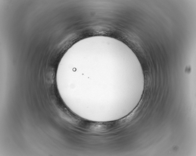 X0000093560174200711051044