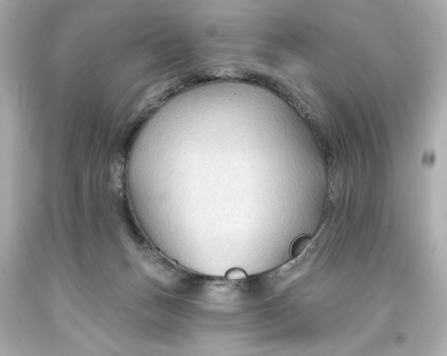 X0000093560175200711051044