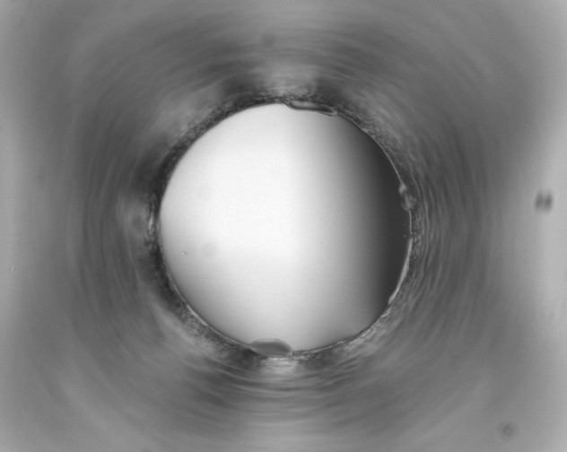 X0000093560176200711051044