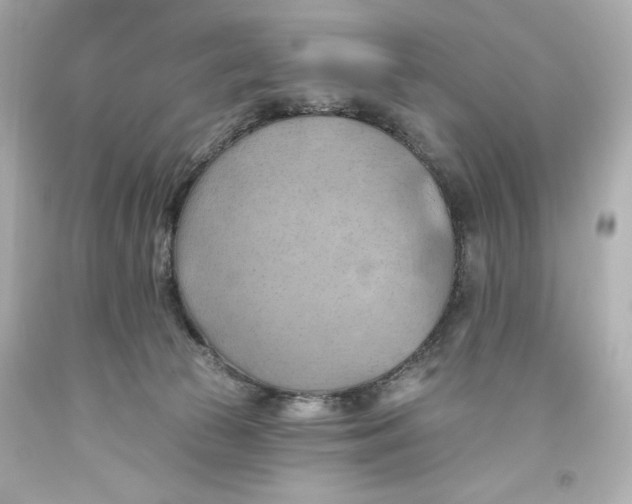 X0000093560177200711051044