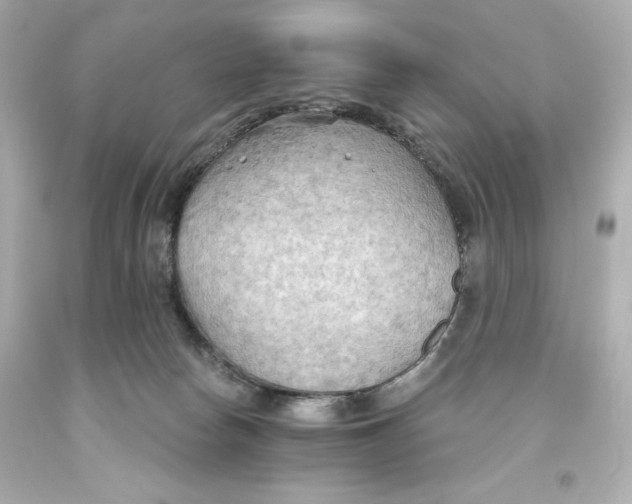 X0000093560178200711051044