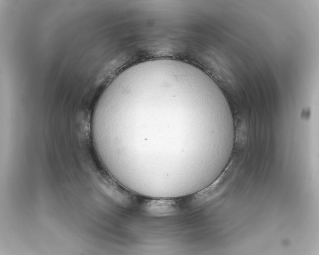 X0000093560179200711051044