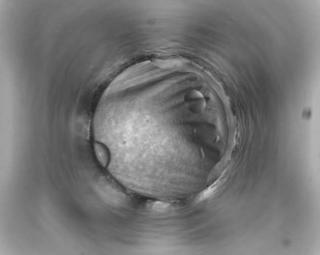 X0000093560180200711051044