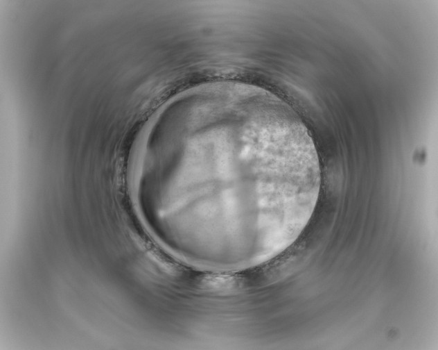 X0000093560181200711051044