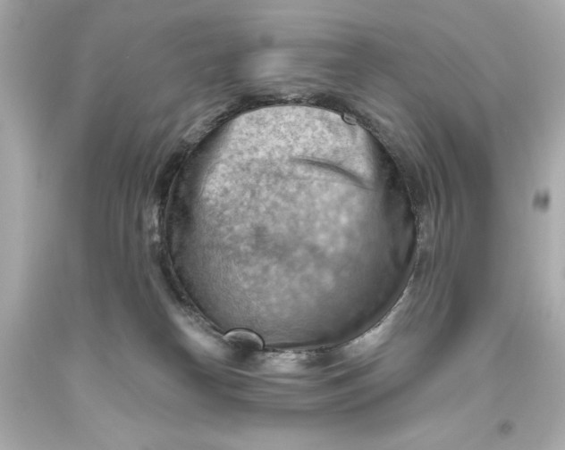 X0000093560182200711051044