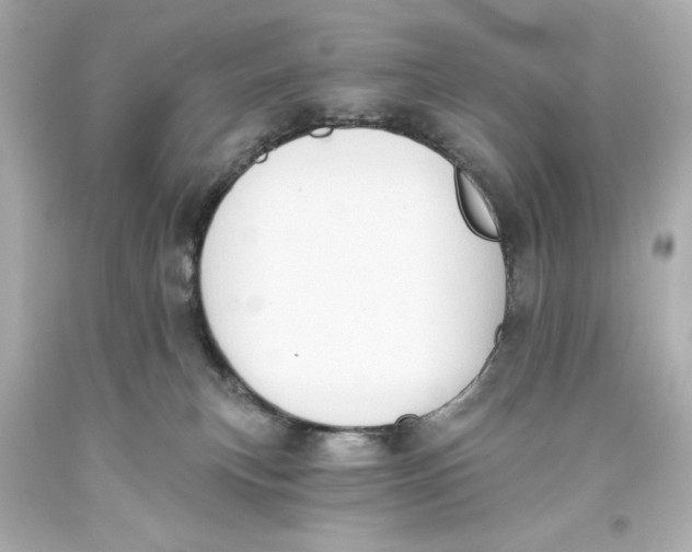 X0000093560183200711051045