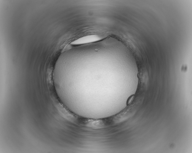 X0000093560185200711051045