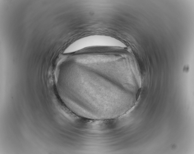 X0000093560186200711051045