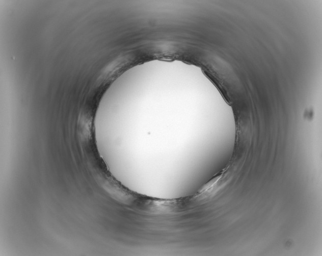 X0000093560188200711051045