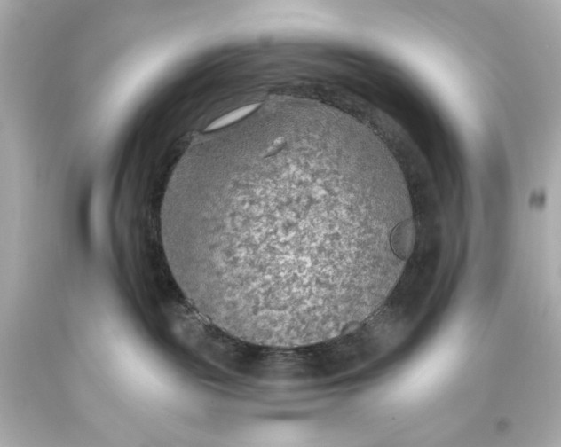 X0000093560189200711051045