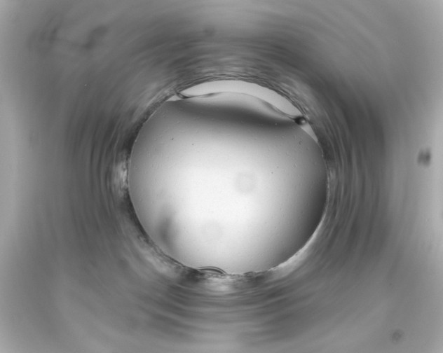 X0000093560190200711051045