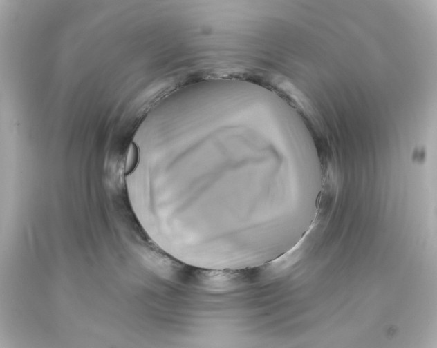 X0000093560191200711051045
