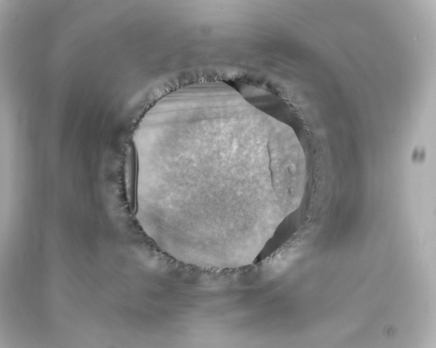 X0000093560192200711051045