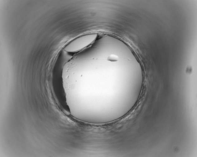 X0000093560193200711051044