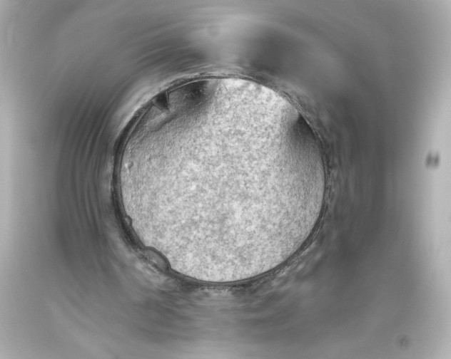 X0000093560194200711051044