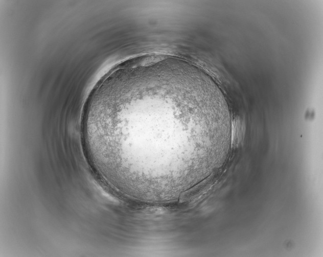 X0000093560195200711051044