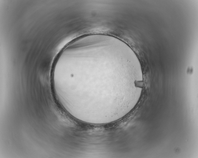 X0000093560196200711051044