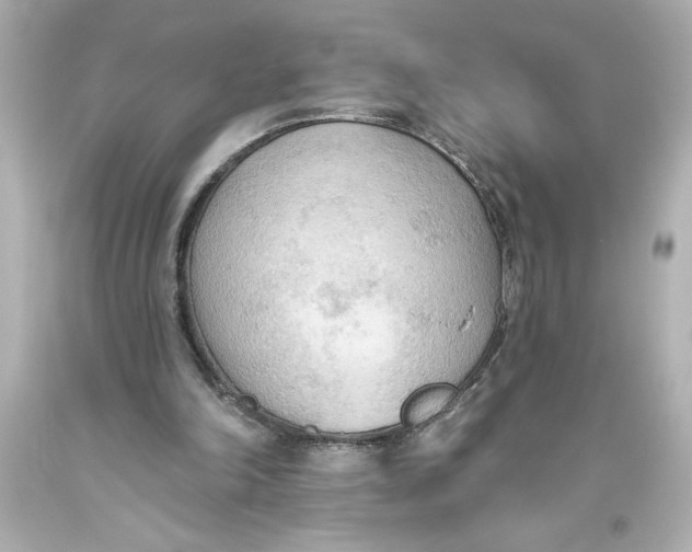 X0000093560198200711051044