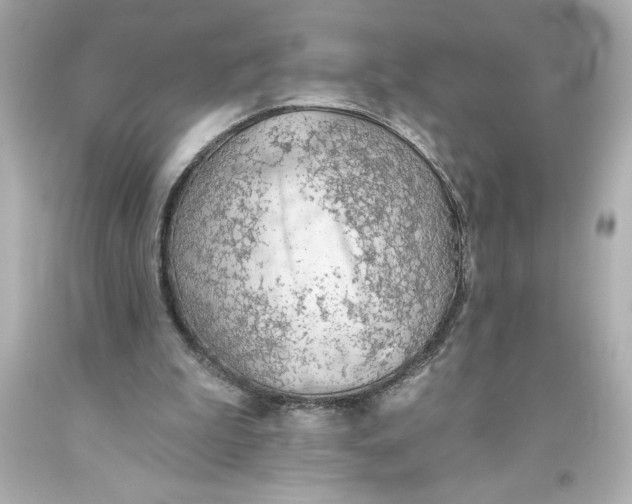 X0000093560199200711051044