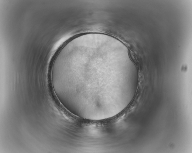 X0000093560200200711051044